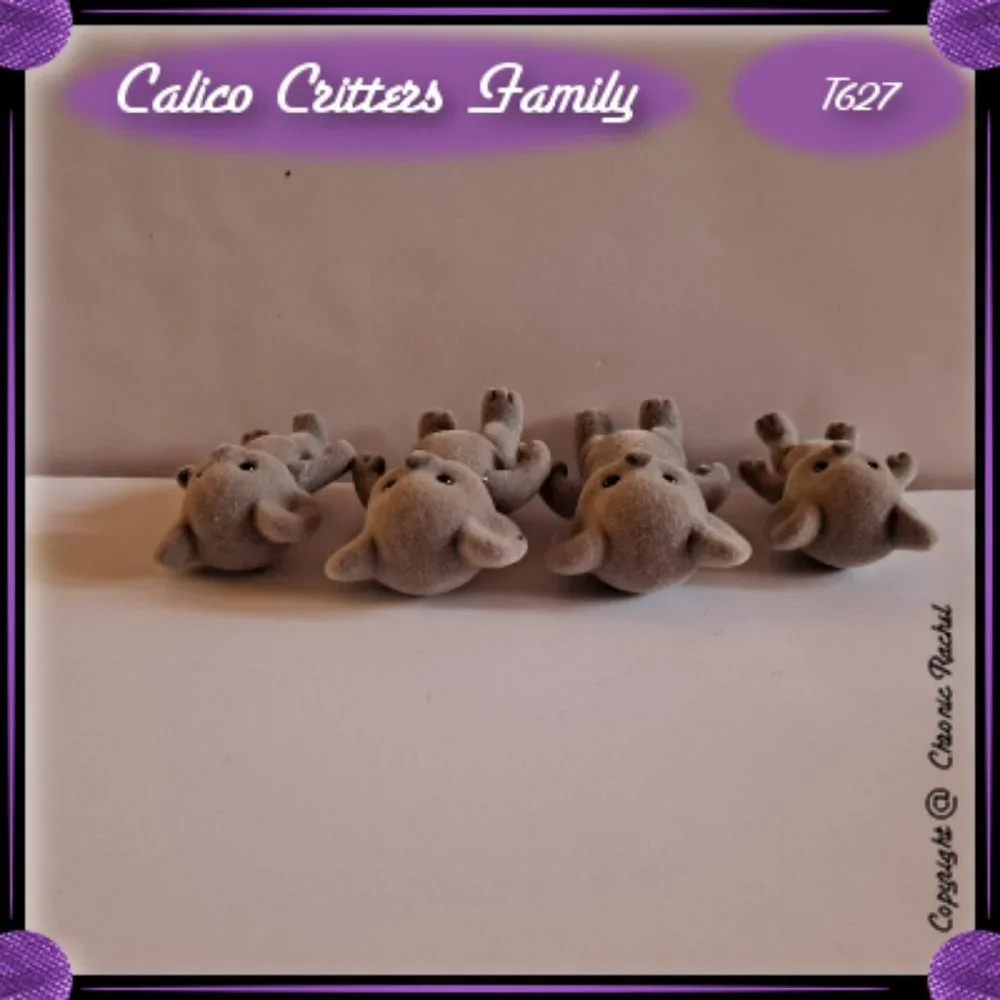 Billabong Koala Family